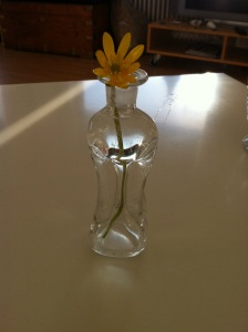 Blomst i vase